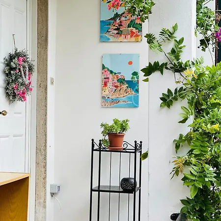 Adora 韦扎诺利古勒