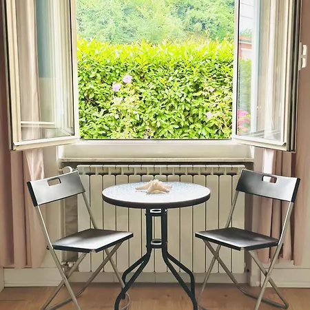 Adora 韦扎诺利古勒